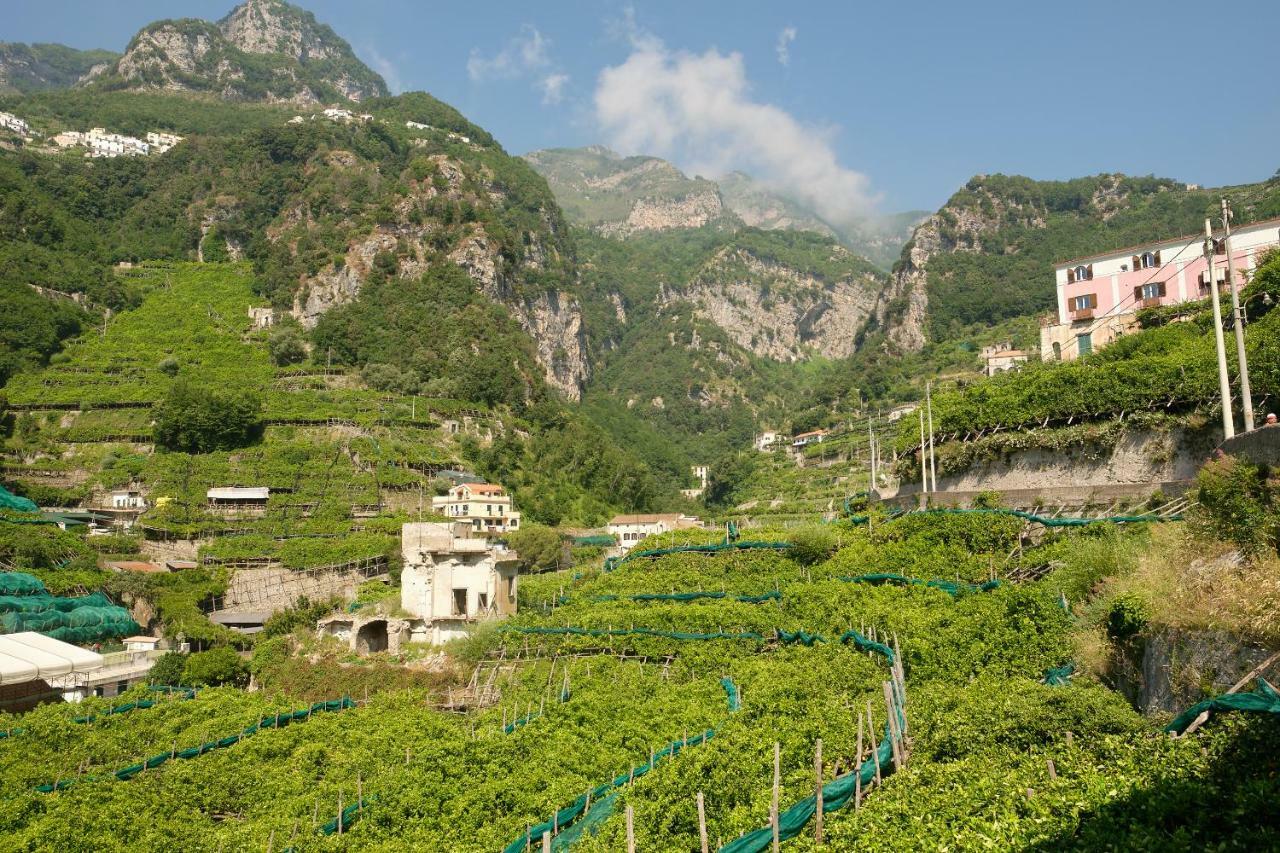 Villa Pricitella Amalfi Exterior photo
